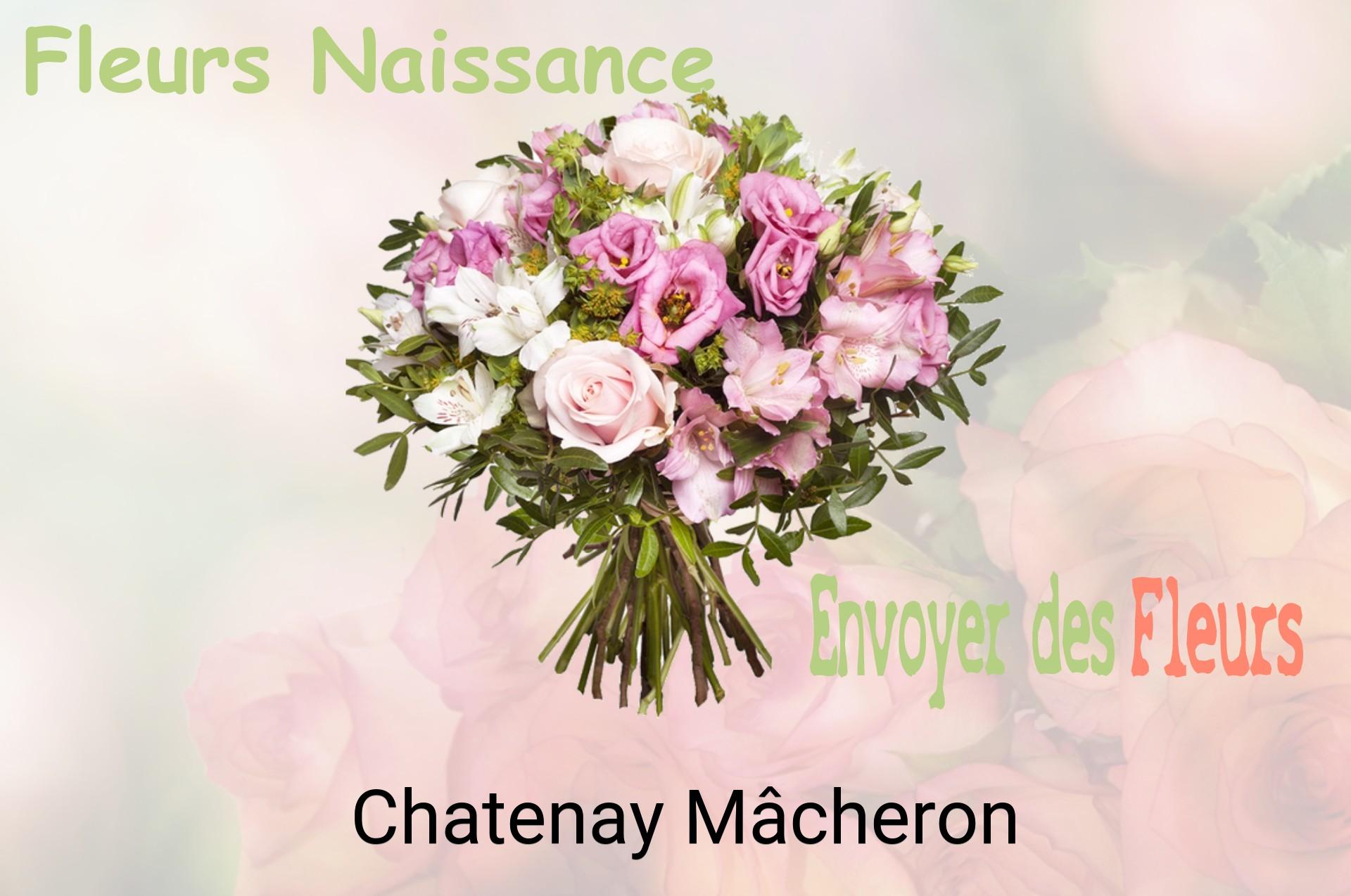 Bouquet de fleurs de naissance livré à Chatenay-Mâcheron
