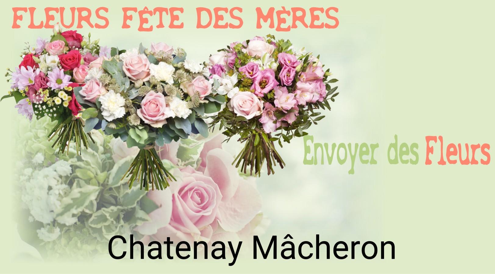 Bouquet de Fête des Mères livré à Chatenay-Mâcheron
